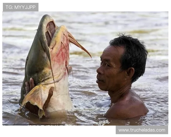 深度剖析PA捕鱼王技巧,提升你的捕鱼体验与收益 深度剖析PA捕鱼王技巧,提升你的捕鱼体验与收益